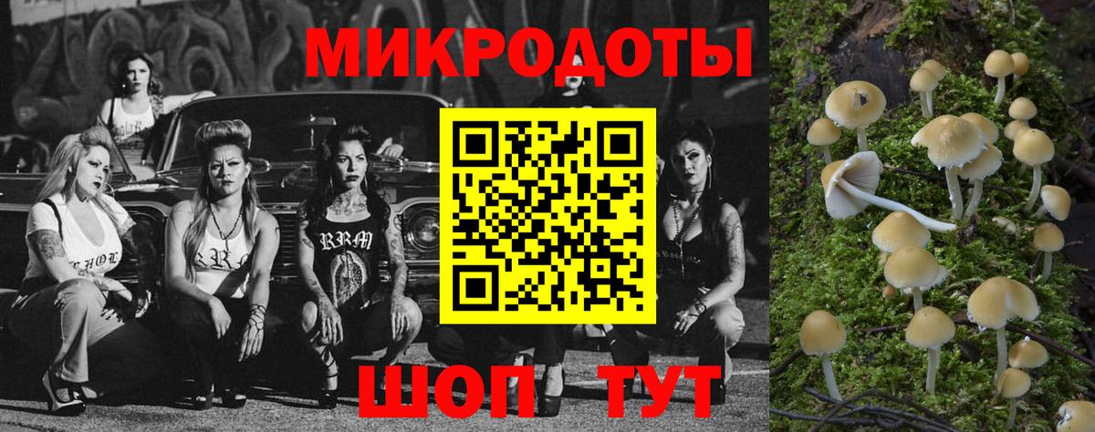 Галлюциногенные грибы Psilocybine cubensis Астрахань