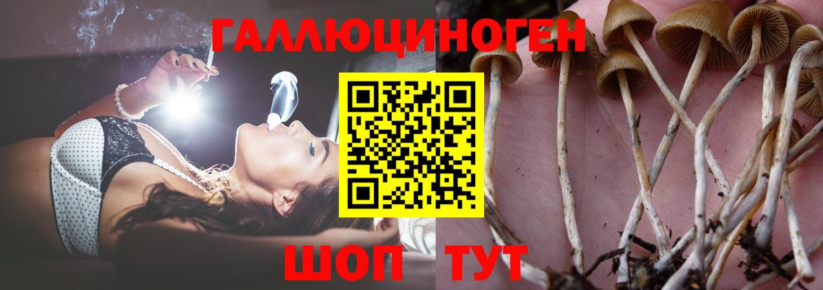 Галлюциногенные грибы MAGIC MUSHROOMS  Вход с VPN  Галлюциногенные грибы Cubensis  Астрахань 